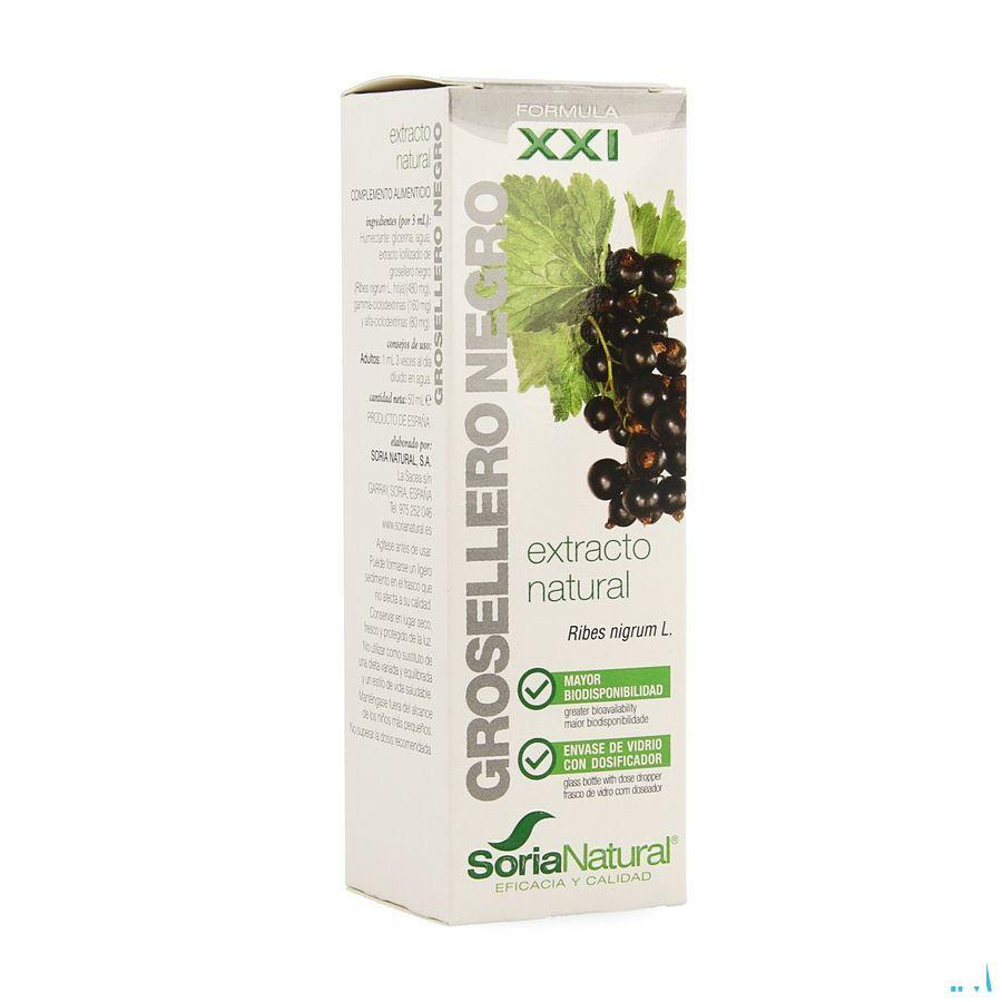 Soria Ribes Nigrum Xxi Extr.fl. 50 ml  -  Soria Bel