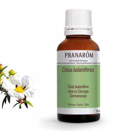 Ciste Ladanifere Essentiele Olie 30 ml  -  Pranarom