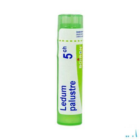 Ledum Palustre 5CH Gr 4g  -  Boiron