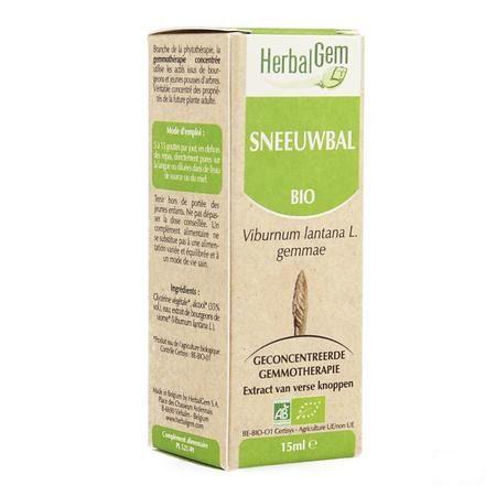 Herbalgem Wollige Sneeuwbal Maceraat 15 ml  -  Herbalgem