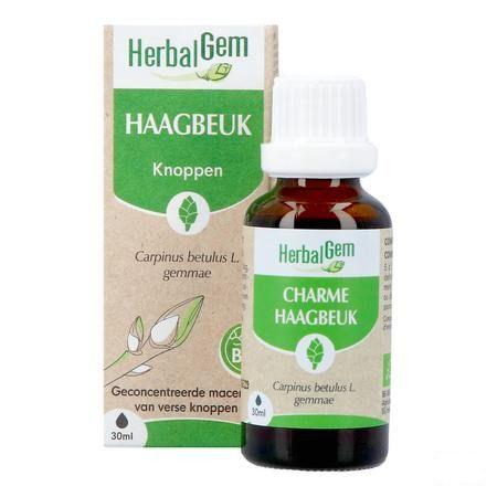 Herbalgem Charme Bio 30 ml