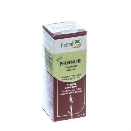 Herbalgem Maagdenpalm Maceraat 15 ml  -  Herbalgem