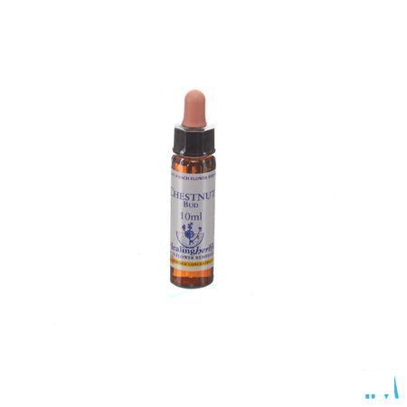 Healing Herbs Chestnut Bud 10 ml