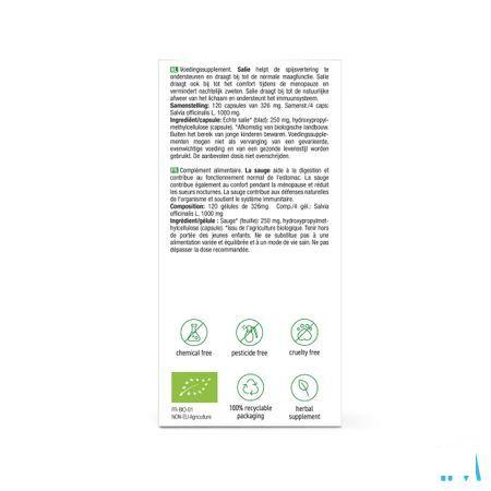 Salie Bio Capsule 120x220 mg