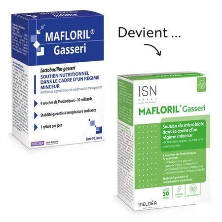 Mafloril Gasseri Isn Etui Caps 30