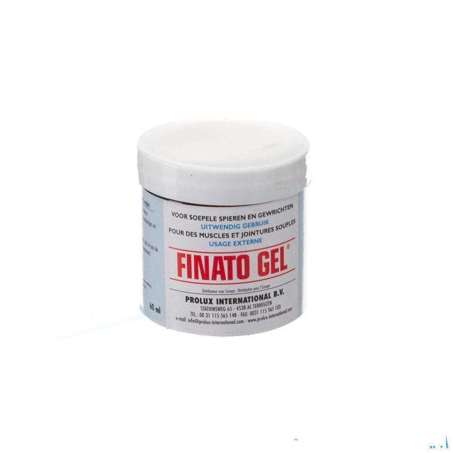 Finato Gel Pot 60 ml