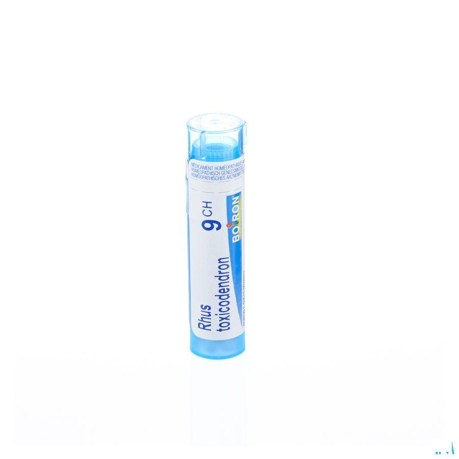 Rhus Toxicodendron 9CH Gr 4g  -  Boiron