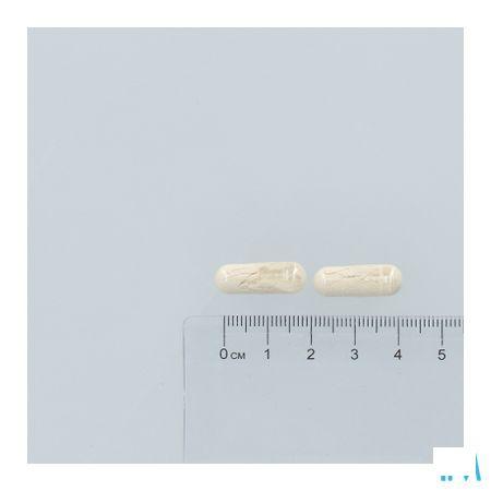 Digest Ok Capsule 60  -  Revogan
