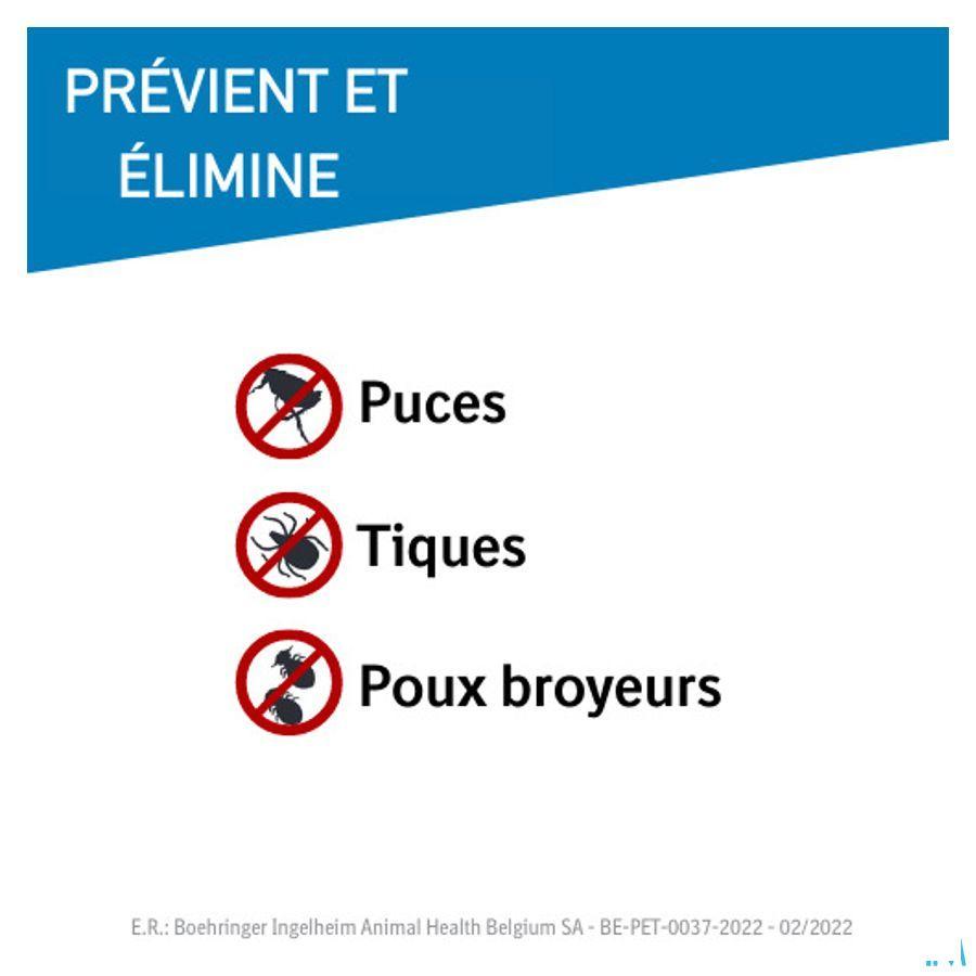 Frontline Spot On Kat 10% et 6x0,50 ml