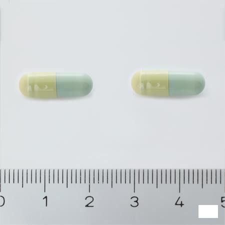 Sacchiflora 250 mg Harde Capsule 50 Blister