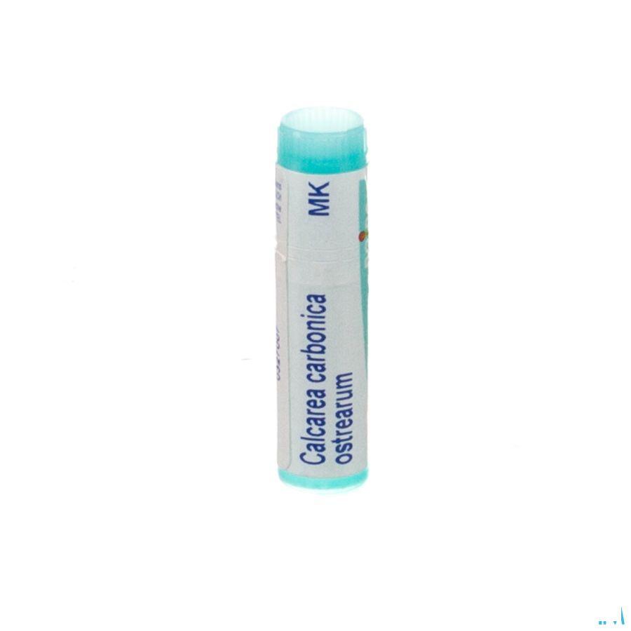 Calcarea Carbonica Ostrearum MK Gl  -  Boiron