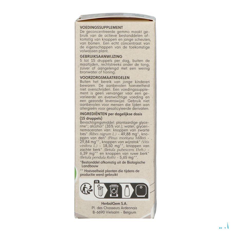 Herbalgem Artigem Bio 30 ml