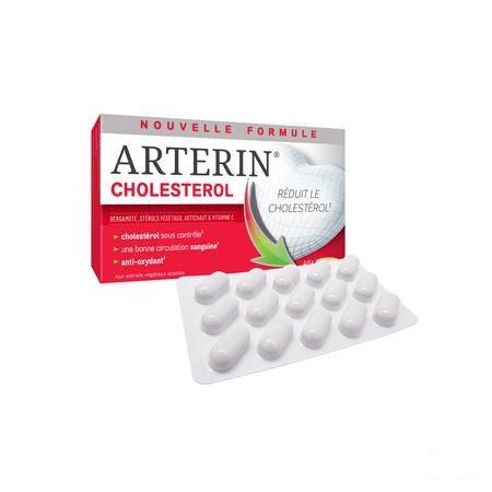 Arterin Cholesterol Tabletten 45