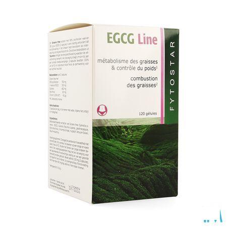 Fytostar Egcg Line Maxi Capsule 120  -  Ocebio