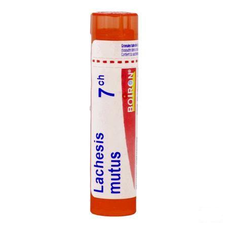 Lachesis Mutus 7CH Gr 4g  -  Boiron