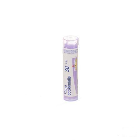 Thuya Occidentalis 30CH Gr 4g  -  Boiron