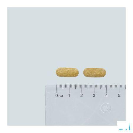 Forticine Extra Comp 60  -  Kela Pharma