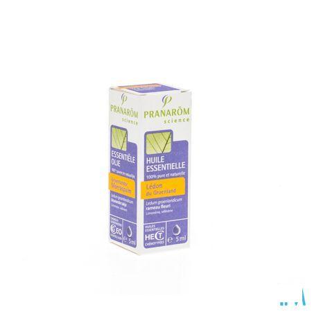 Ledon Groenland Huile Essentielle 5 ml  -  Pranarom