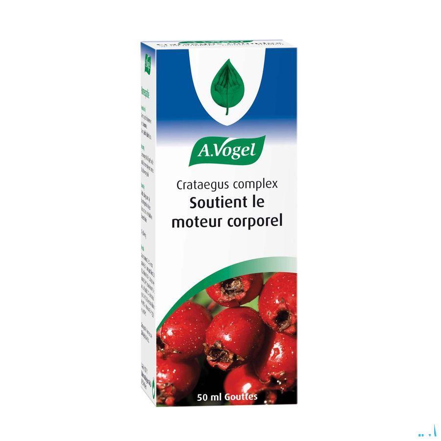 Vogel Crataegus Complex Gouttes 50 ml  -  A.vogel