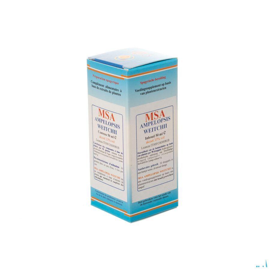 Ampelopsis Weitchii Msa Macerat Gouttes 50 ml  -  Herboplanet