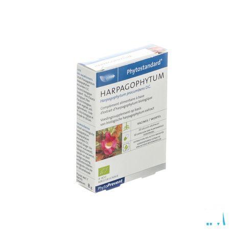 Phytostandard Harpagophytum Capsule 20  -  Pileje