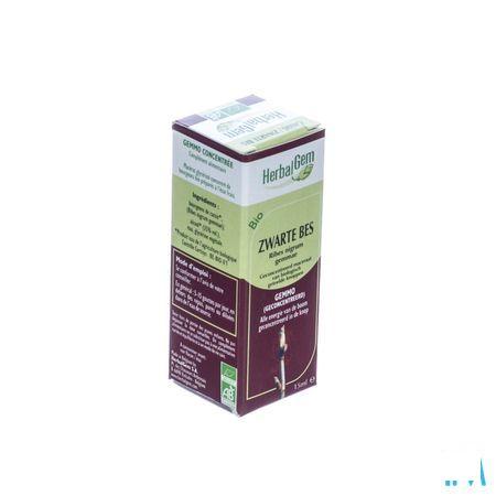 Herbalgem Zwarte Bes Maceraat 15 ml  -  Herbalgem