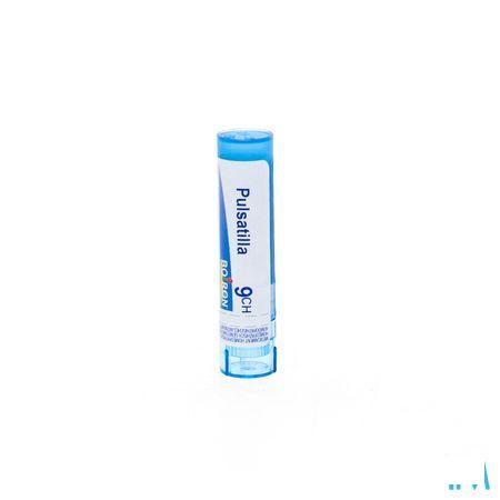 Pulsatilla 9CH Gr 4g  -  Boiron
