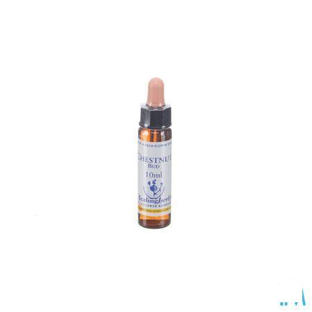 Healing Herbs Chestnut Bud 10 ml