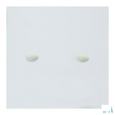 Bio-antioxidant Tabletten 90  -  Pharma Nord