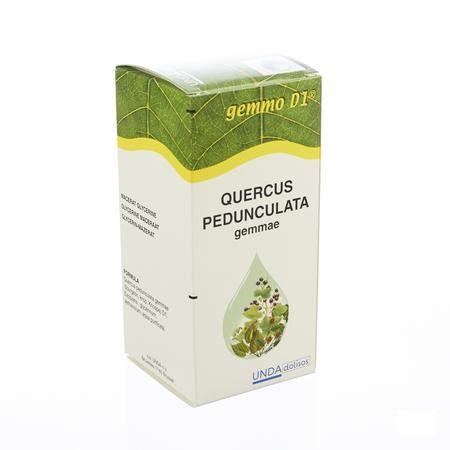 Quercus Ped.gem.gemmo D1 125 ml  -  Boiron