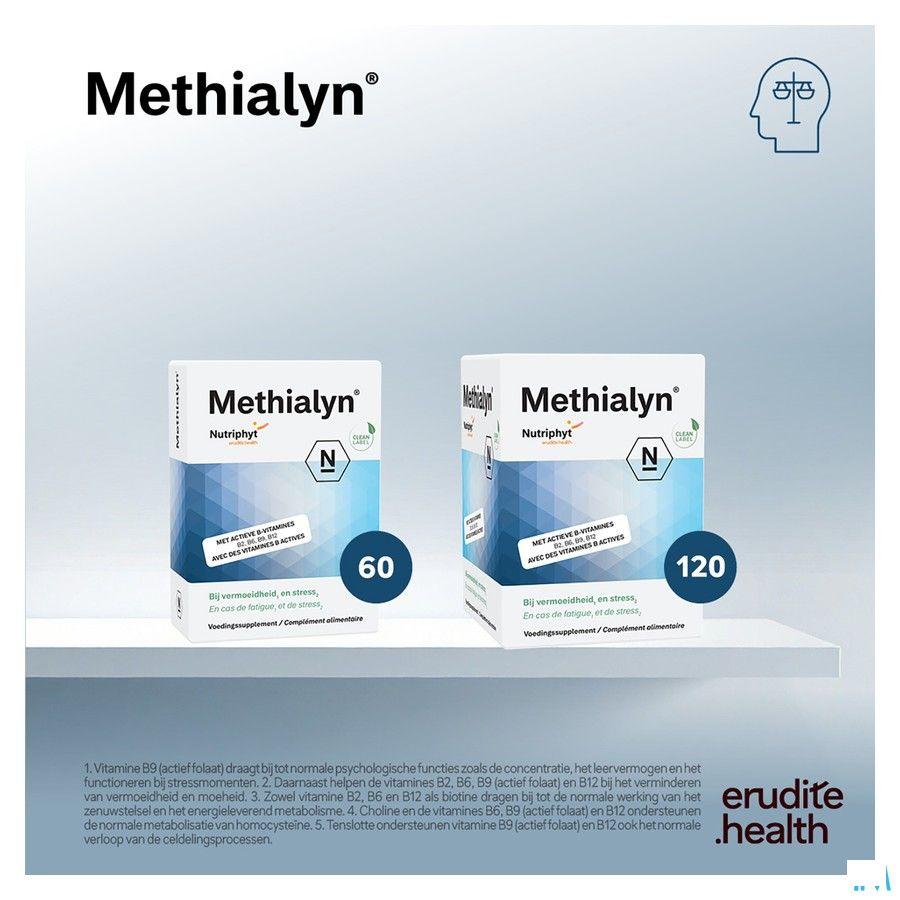 Methialyn Comprimes 4x15  -  Nutriphyt