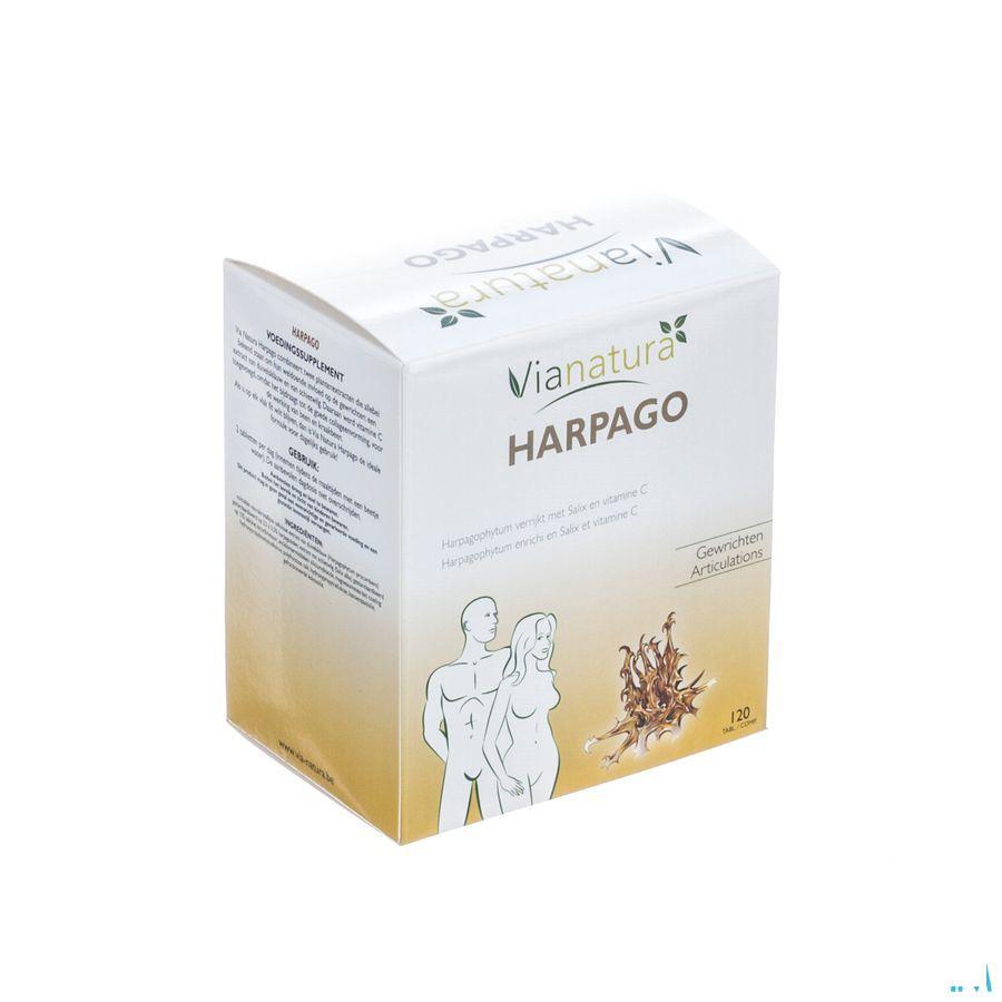Harpago Tabletten 120x93g  -  Biover