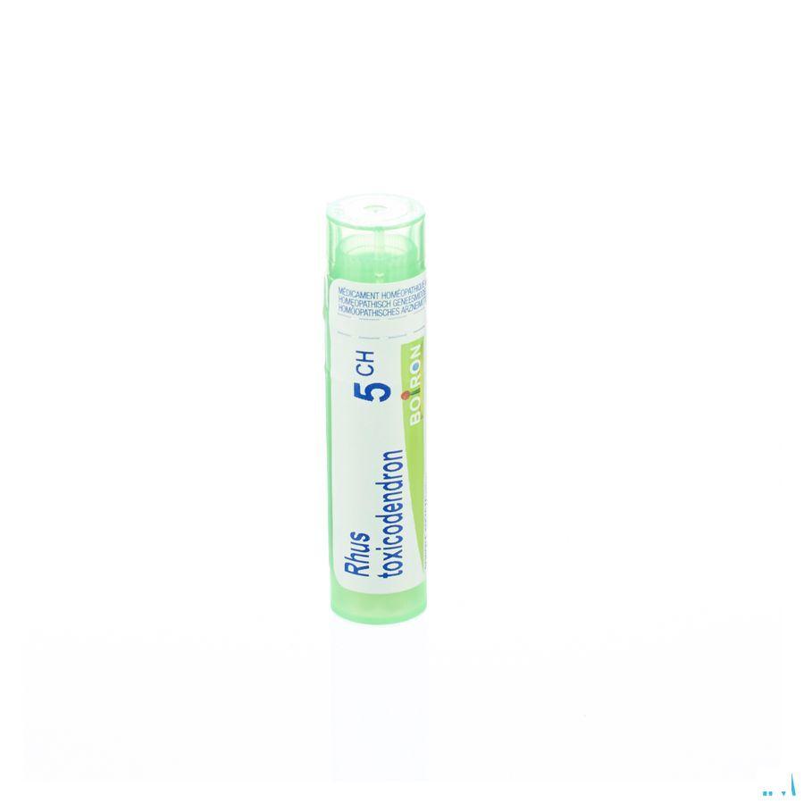Rhus Toxicodendron 5CH Gr 4g  -  Boiron
