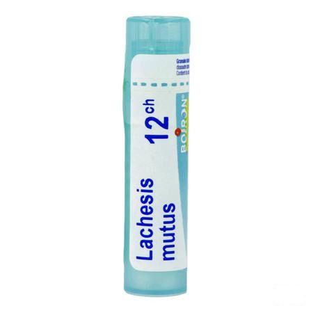Lachesis Mutus 12ch Gl  -  Boiron
