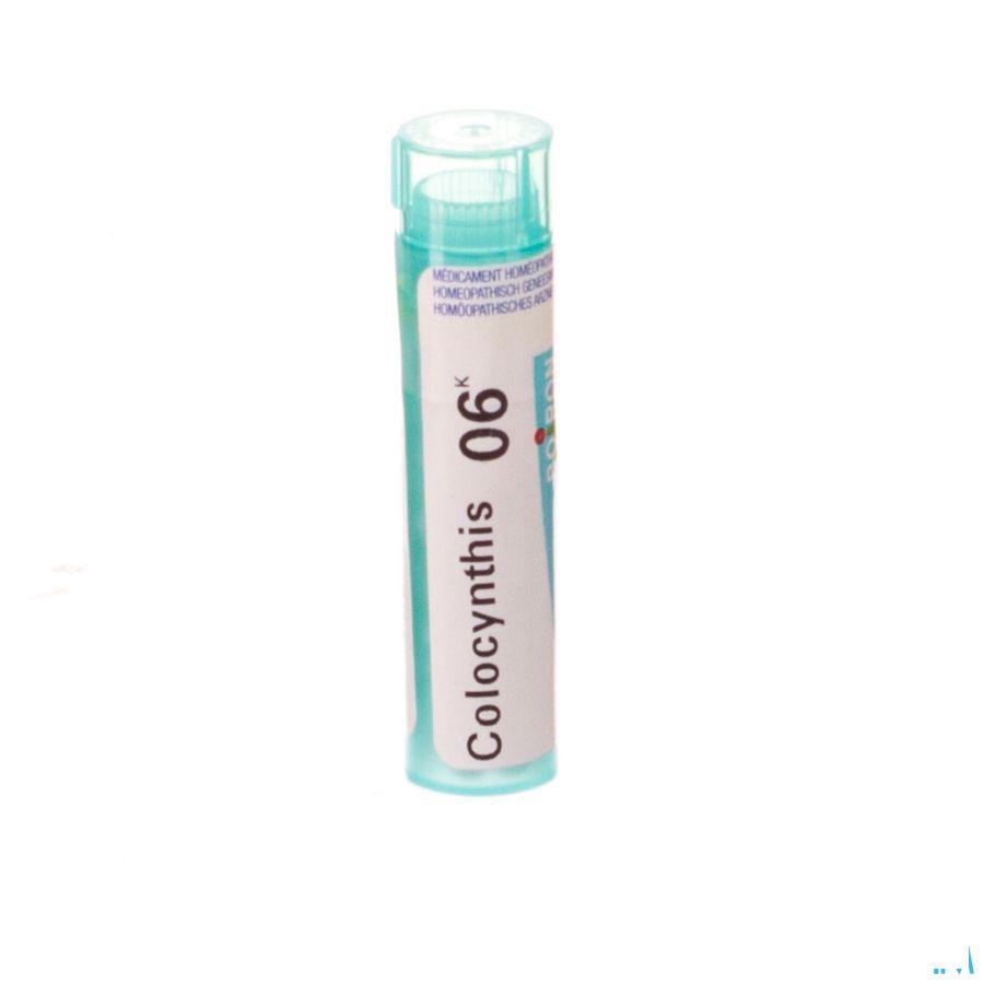 Colocynthis 6k Gr 4g  -  Boiron