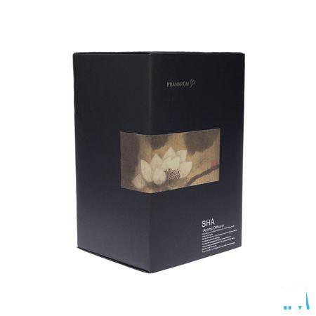 Diffuseur Sha Petit Modele  -  Pranarom