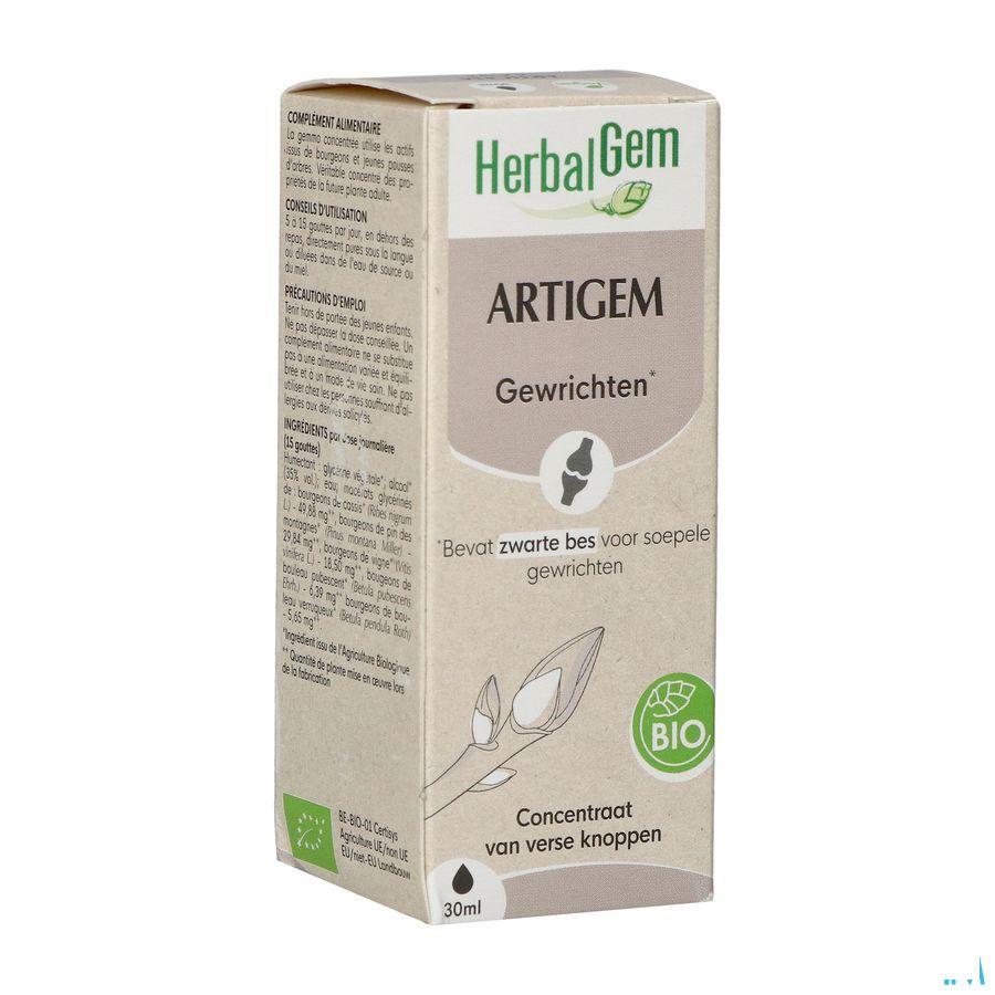 Herbalgem Artigem Bio 30 ml