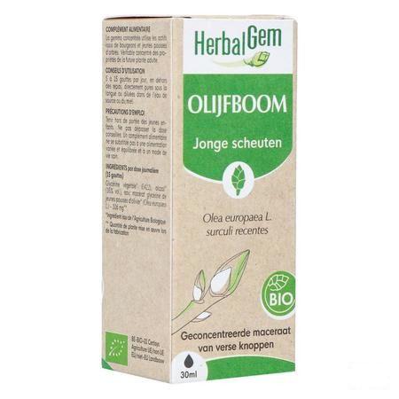 Herbalgem Olijfboom Bio 30 ml