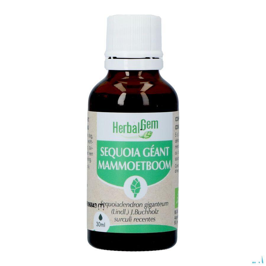 Herbalgem Sequoia Bio 30 ml