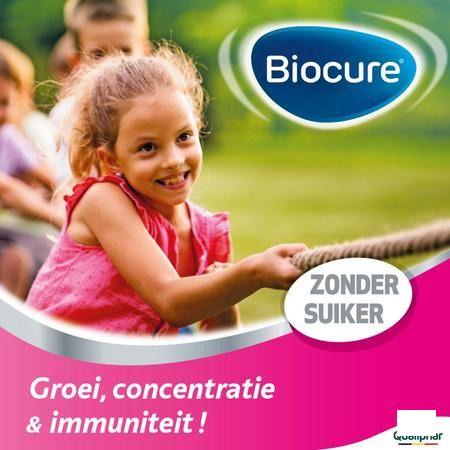 Biocure Junior Kauwsterretjes 60