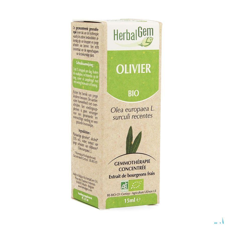 Herbalgem Olijfboom Maceraat 15 ml  -  Herbalgem