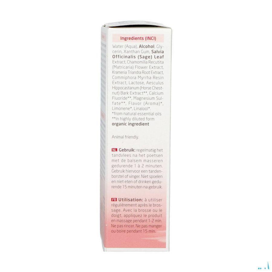Weleda Tandvleesbalsem Tube 30 ml 0636670  -  Weleda