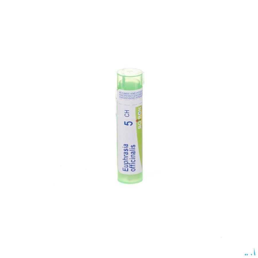 Euphrasia Officinalis 5CH Gr 4g  -  Boiron