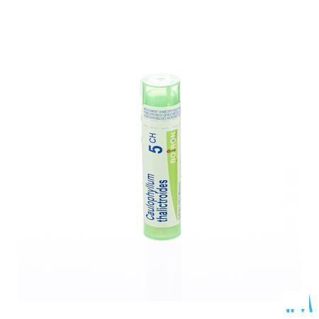 Caulophyllum Thalictroides 5CH Gr 4g  -  Boiron