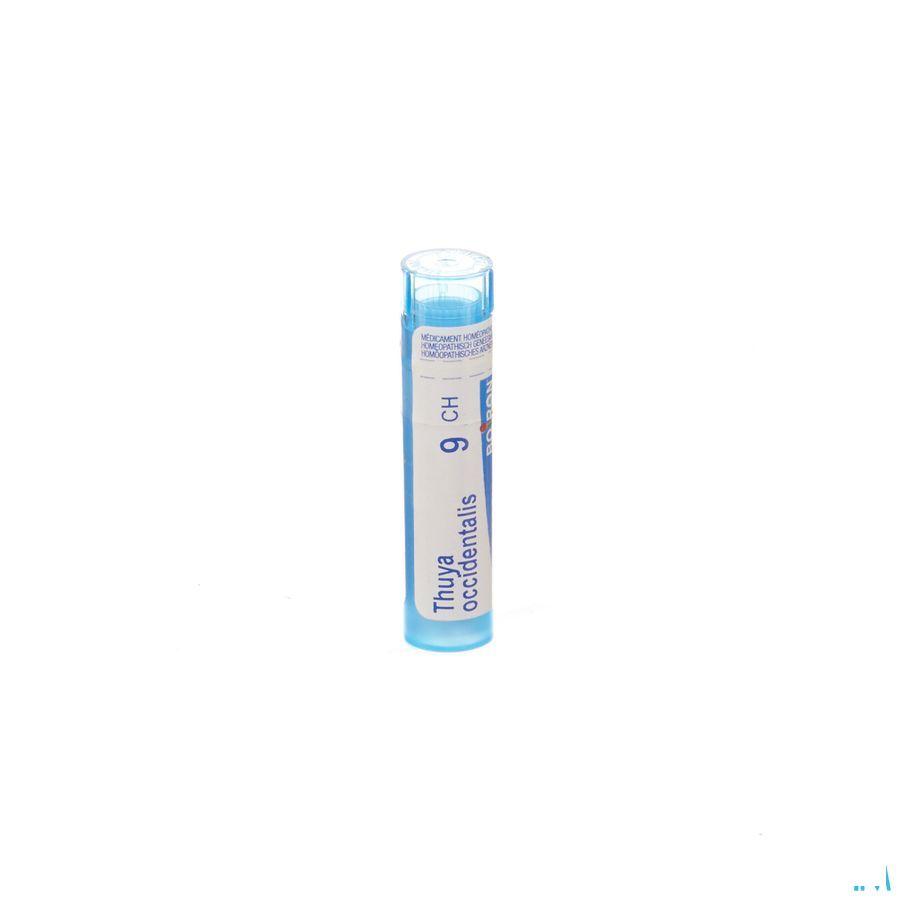 Thuya Occidentalis 9CH Gr 4g  -  Boiron