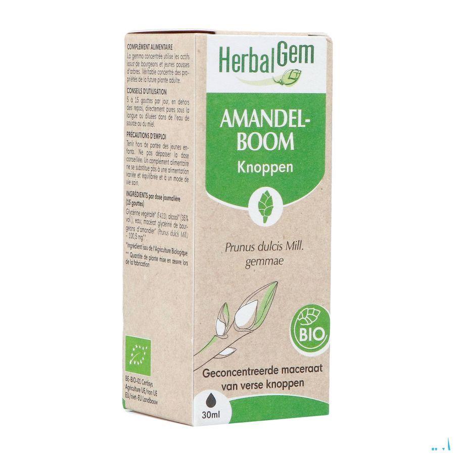 Herbalgem Amande Do Bio 30 ml