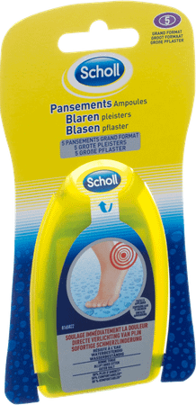 Scholl Blarenpleister Groot 5
