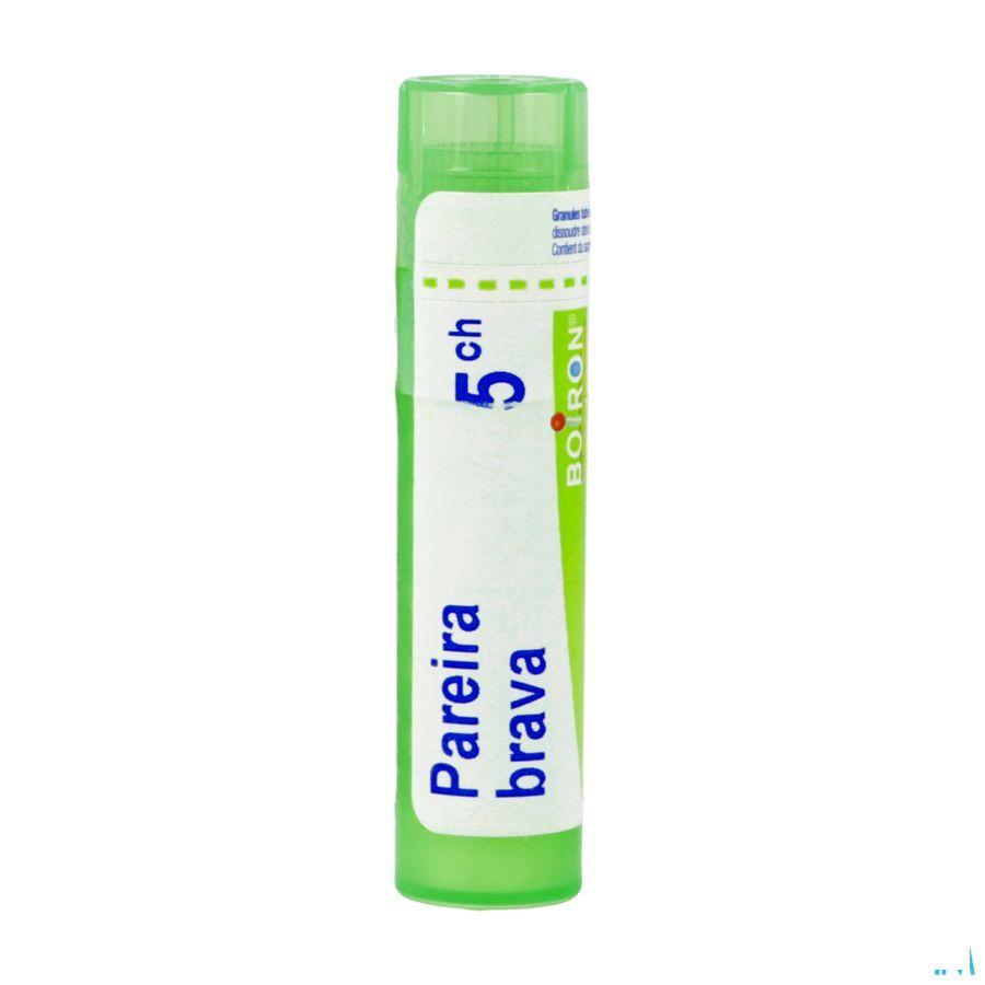 Pareira Brava 5CH Gr 4g  -  Boiron