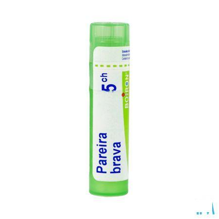 Pareira Brava 5CH Gr 4g  -  Boiron