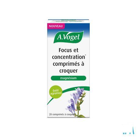 A.Vogel Focus  &  Concentration Comp Croq 28